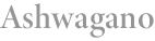 brand-logo-03.png